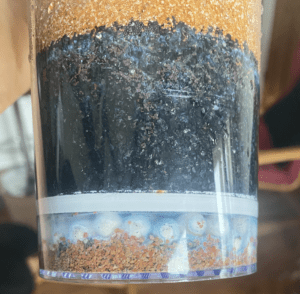 Zbliżenie na filtr Santevia z widocznymi osadami mineralnymi i niebiesko-zielonymi przebarwieniami.